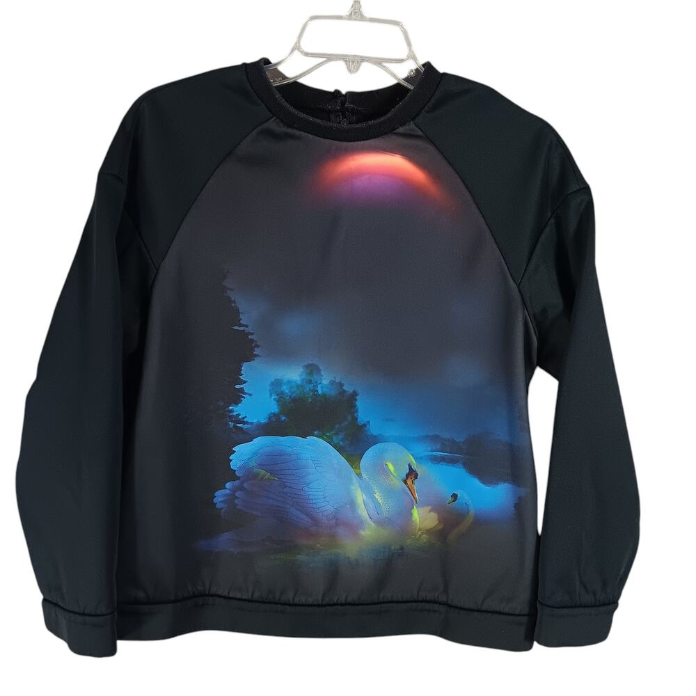 Swan At Night Graphic Sweatshirt Size Large Black Long Sleeve Back Zipper Up